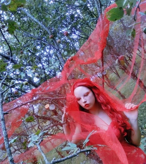 The Blood Red Veil - Image 2